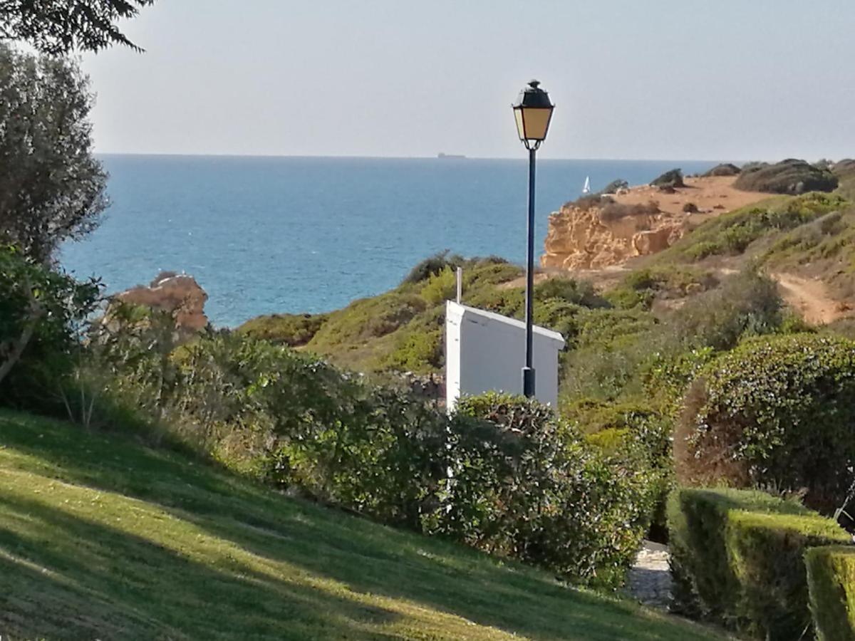 Ocean Terraces By Vila Gaivota D Ferragudo  Kültér fotó